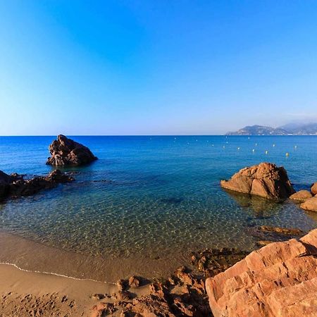 A 10 Min De La Croisette - Pieds Dans La Mer คานส์ ภายนอก รูปภาพ