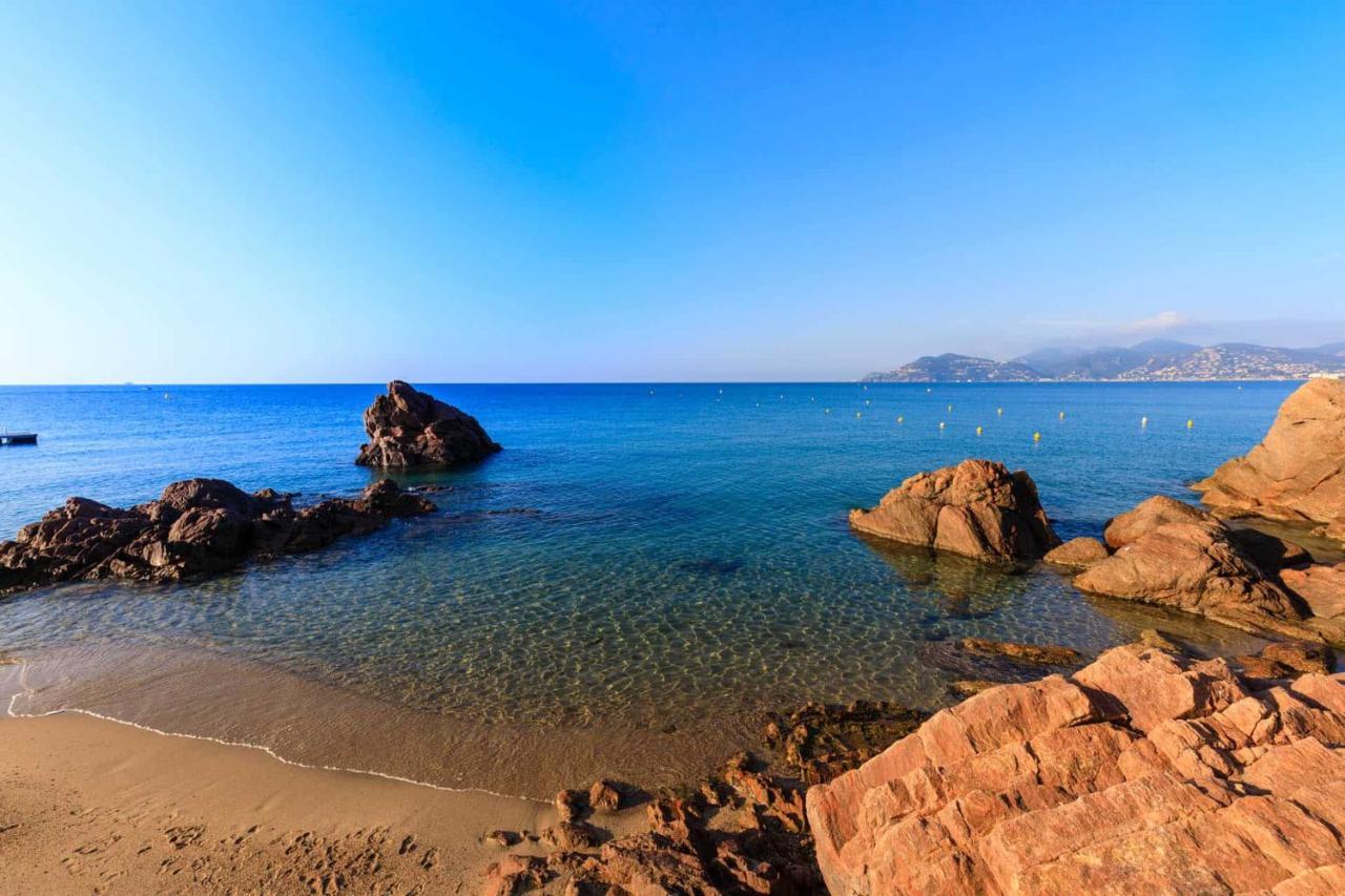 A 10 Min De La Croisette - Pieds Dans La Mer คานส์ ภายนอก รูปภาพ